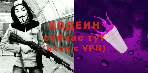 ГАЛЛЮЦИНОГЕННЫЕ ГРИБЫ Арсеньев