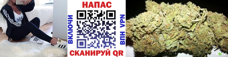 Марихуана гибрид Мирный